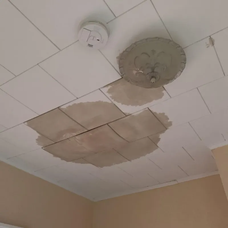 Ceiling Water Damage Repair in West Fairview, PA