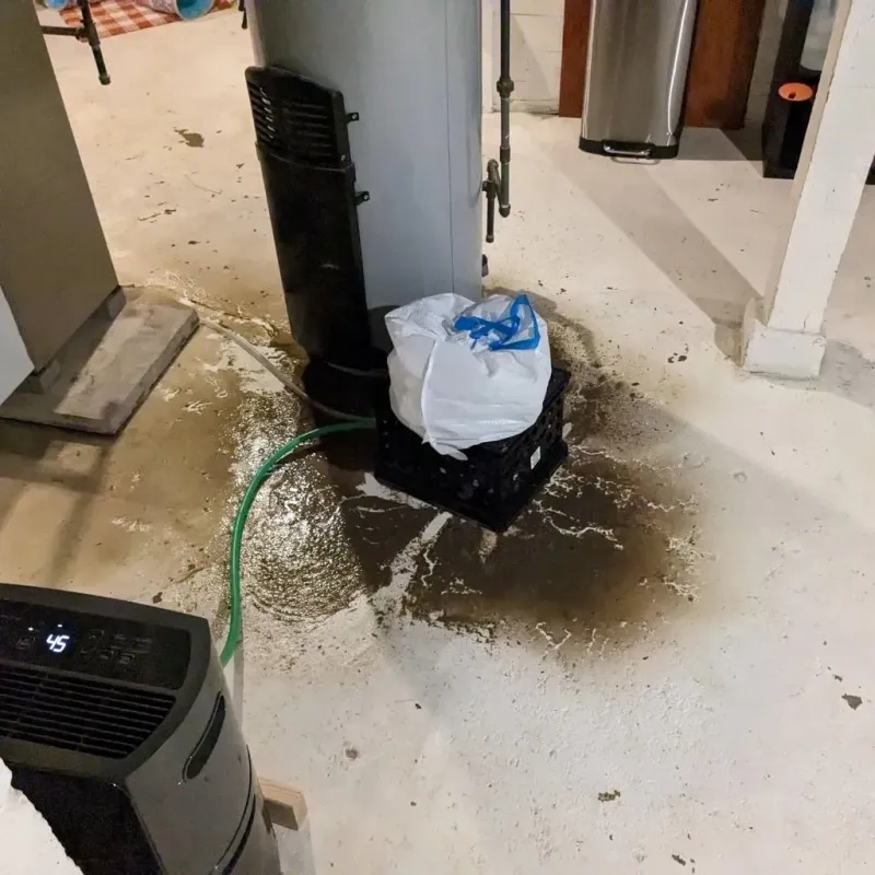 Sewage Backup Cleanup Service in West Fairview, PA